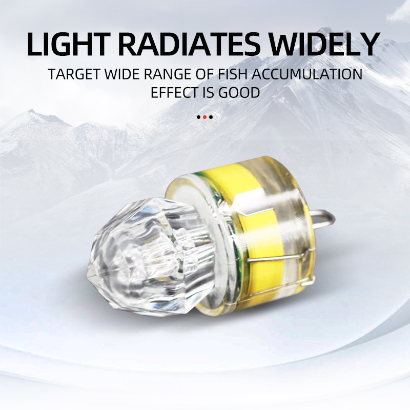 ShareShark 5pcs LED Fishing La - Fishing Boat Navigation Light review and price